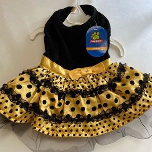 Doggy’s party dress with lots of Glam